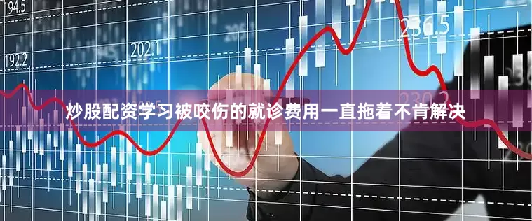 炒股配资学习被咬伤的就诊费用一直拖着不肯解决